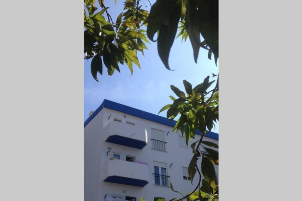 Apartamento Casa Bela Vista Center
